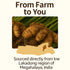 Go-Yogik Lakadong Turmeric Powder - 5.3oz, High Curcumin, Lab Tested, Superfood, Traditionally Grown from India