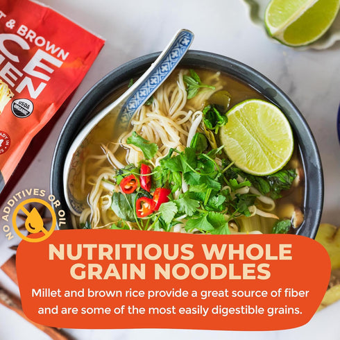 10 Oz (Pack 1) Lotus Foods Organic Millet and Brown Rice Ramen Noodles - Gluten Free Instant Ramen Noodles, Vegan, Low