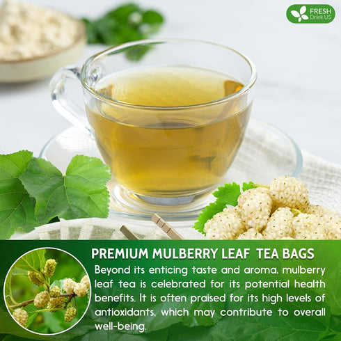 FreshDrinkUS, Premium 120 Mulberry Leaf Tea Bags, 100% Natural & Pure from Mulberry Leaves, No Sugar, No Caffeine, Vegan