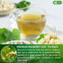 FreshDrinkUS, Premium 120 Mulberry Leaf Tea Bags, 100% Natural & Pure from Mulberry Leaves, No Sugar, No Caffeine, Vegan