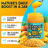8oz Biolore Sea Moss Gel Mango Pineapple Flavored Superfood with Natural Electrolytes Wildcrafted Mango Jam Sea Moss