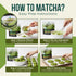 30g 1.06 (Pack 1) Jade Leaf Matcha Organic Culinary Grade Matcha Powder - Japanese Green tea for Baking, Smoothies