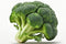 RawJoy Fresh Organic Broccoli by Farms, 1 Pound