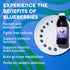 100% 16 oz Dynamic Health Blueberry Concentrate, Concentrate, Unsweetened, No Additives, Brain Function, Antioxidant