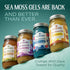 Pack 1 TrueSeaMoss Sea Moss Gel Made in USA Wildcrafted Seamoss, Fruits & Jarred Vegetables Pineapple, of (Labels may