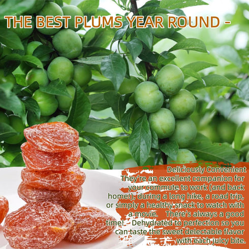 YJSLSQIYP 1.1lb Dried Plums, Asian Style Preserved Seedless Plums, Sweet and Tangy Dried Crack Seed, Seedless Preserved