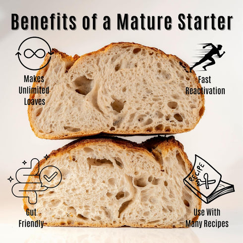 5g Dehydrated Sourdough Starter by Made With Loave | INCLUDES Recipe | Beginner Friendly | As Seen On TikTok |