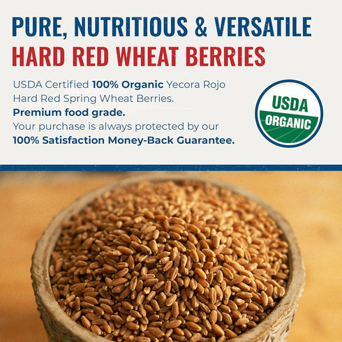 (5 Yecora Rojo Hard Red Wheat Berries by Grand Teton Organic Wheat | Organic Hard Red Spring Wheat Berries for Baking