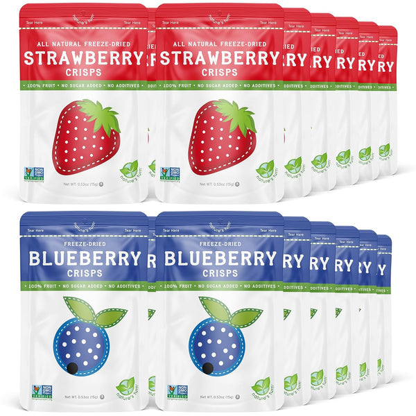 Natures Turn Freeze-Dried Fruit Snacks, Strawberry and Blueberry Crisps, Pack of 24