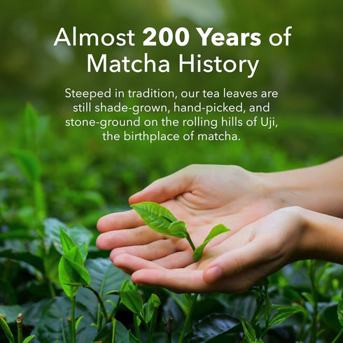 (20g 10 packets) Ujido Matcha Green Tea Powder - Sweetened with Japanese Monk Fruit - Sugar Free x