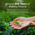 (20g 10 packets) Ujido Matcha Green Tea Powder - Sweetened with Japanese Monk Fruit - Sugar Free x