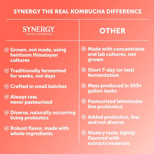 16 oz Immune SYNERGY The Real Kombucha - Peach Paradise - fl Bottle - Raw Probiotic Drink for Gut Health and Support
