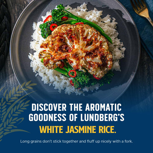 by Lundberg 32 Oz Lundberg Jasmine Rice, Long Grain White Rice - Non-Sticky, Fluffy Aromatic Rice, Sustainably Grown