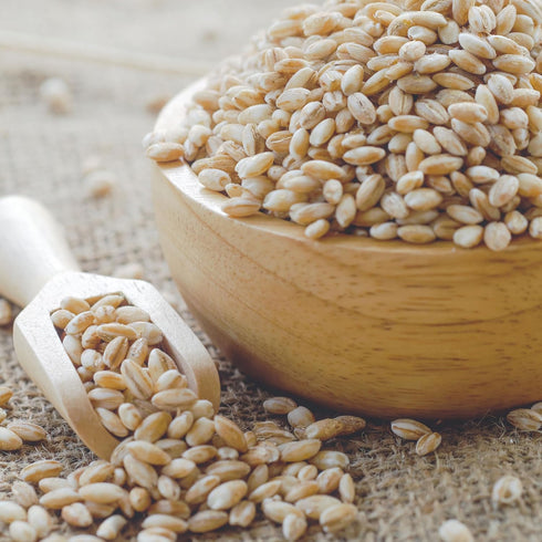 4 Barley Pearl, Pound Bulk Bag, Perfect for Hot Cereals, Salads or Hearty Stews