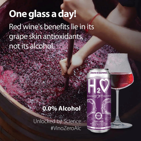 H2 0.0% 12 12 oz o Sauvignon Blanc Silky & Smooth | Alcohol Wine-Infused Sparkling Refreshment | Non-Alcoholic, Low