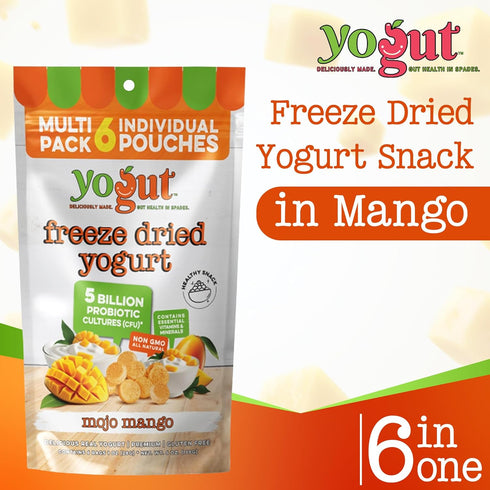 6 Pack, 5 Packs YoGut Freeze Dried Yogurt Snack, Mango, Healthy Snacks for Kids, Toddlers & Adults, Gluten Free, Non