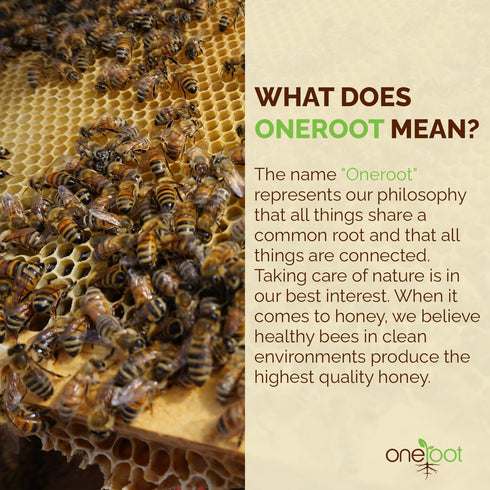 500g 1.1 lbs Antioxidant-Packed OneRoot Raw Honey Bundle Buckwheat & Canadian Wildflower Honey Unheated & Nutrient-Rich