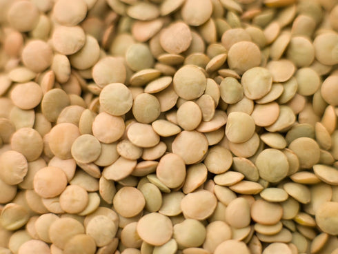 Hunza Natural Foods (2 lbs) Hunza Organic Green Lentils