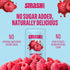 Packets 10 Smash Foods Raspberry Jam Squeeze | Single Serve | Natural, Keto & No Sugar Added | Vegan & Upcycled Fruit