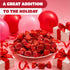2 Cinnamon Candy - Pound Bulk Bag - Cinnamon Discs Hard Candy Individually Wrapped - Red Candies for Office Bowl