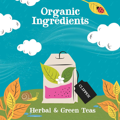 Set, 5 45 Clipper Tea: Organic Herbal & Green Tea Gift Box Tea Selection & Sampler with Flavors Including Lemon