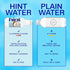 16 Oz (Pack 12) Hint Fruit-Infused Bottled Water, Coconut - Sugar Free Flavored Water with Zero Calories, Naturally