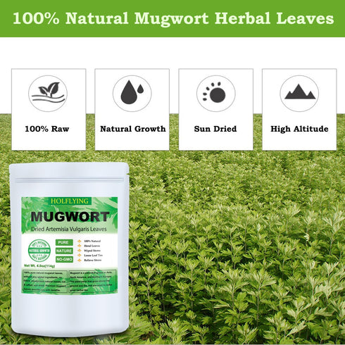 HOLFLYING 7.0oz(200g), 100% Dried Mugwort Leaves, Natural Artemisia Vulgaris Herbal Loose Leaves, Natural Mugwort Loose