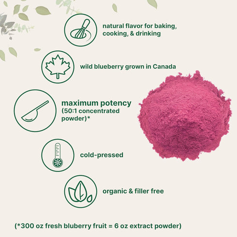 10oz 100% Organic Blueberry Extract Powder, | Natural Fruit Powder | Freeze-Dried Wild Blueberries Source | No Sugar