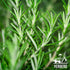 2oz (58gr) 30+ Nature100% Yerbero - Premium Loose Whole Rosemary Dried Leaves Tea | Hoja De Romero Te Herbal | Makes