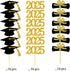 2025 Graduation Cupcake Toppers, 48 PCS Food/Appetizer Picks, Grad Cap Set, Diploma, Mini Cake Decorations