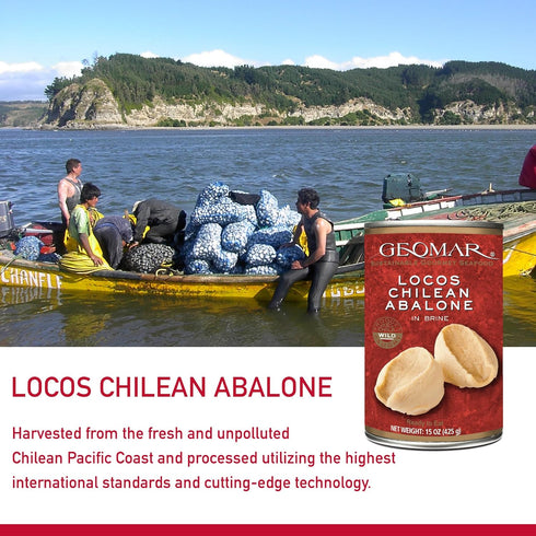 3 (15 oz) GEOMAR Locos (Chilean Abalone) in Brine - Hand Caught by Divers - Nutritious Seafood Delicacy - High
