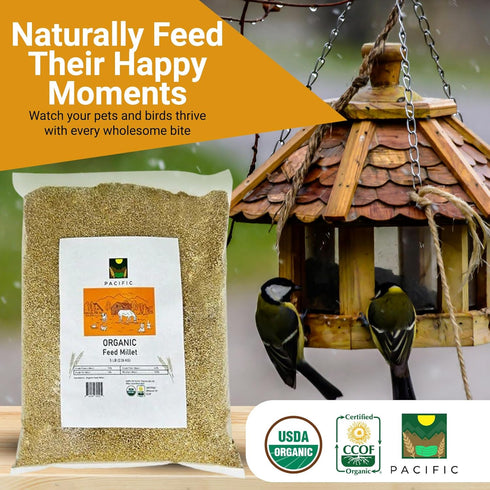 Packed (5 (Pack 1)) PACIFIC Organic Petfood Organic Feed Millet - Millet Bird Seed | Rich with Fiber & Minerals | USDA