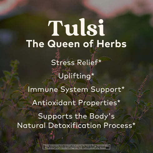 Organic India Tulsi Sweet Rose Herbal Tea - 3.5 oz Canister, Holy Basil, Vegan, Caffeine-Free, Immune Support