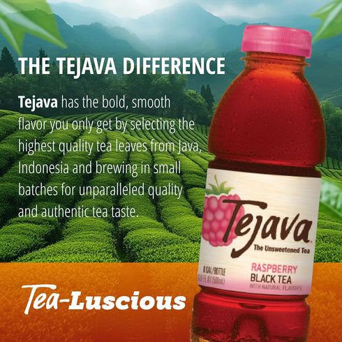 6 Pack 16.9 oz Tejava Raspberry Black Tea, PET, Unsweetened, Ready-to-Drink Premium Iced Tea