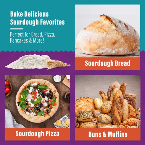 12g MY RUSTIC ROOTS San Francisco Sourdough Starter Culture All Natural & Organic Sourdough Bread Starter - Beginner