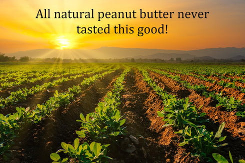 GOOD STUFF PEANUT BUTTER 16oz. Good Stuff Cinnamon Roll Crunch Peanut Butter - All Natural Peanut Butter