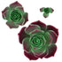 Global Sugar Art Succulent Taurus Sugar Cake Flowers Assortment with Wire, 3