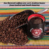 2lb Lola Savannah Texas Pecan Whole Bean Caffeinated Coffee