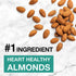 5g 12 Count KIND Nut Bars, Dark Chocolate Mint, Healthy Snacks, Gluten Free, Low Sugar, Protein
