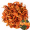 TooGet Fragrant Natural Lily Flowers Organic Dried Lilium Flowers Wholesale, Top Grade
