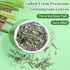 50 Fullchea - Lemongrass Tea Bags, Teabags - Refreshing Herbal Tea Made from Pure Lemongrass Leaves - Non-GMO