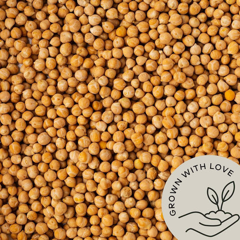 2.8 lb Organic Chickpeas Garbanzo Beans Dry - Dried Chick Peas - Great Protein for Tofu, Tahini - Similar to Soy Beans