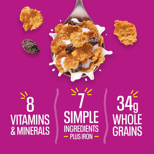 2.5 oz Kellogg's Raisin Bran Breakfast Cereal, High Fiber, Cup