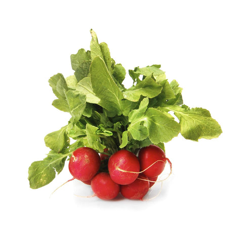 Fresh Produce Organic Red Radishes, 1 Bunch