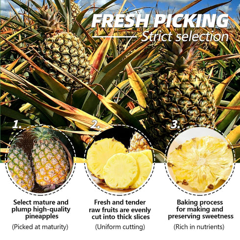 Duwen 1lb /1pound 16oz Dried Pineapple Slices Dehydrated Cocktail Garnish Decor & Edible Pine-apple Fllower No Sugar