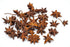 Slofoodgroup Whole Star Anise, 1 Ounce for Cooking, Pickling, and Spice Mixes