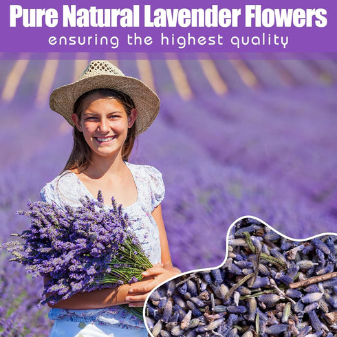 (16 oz) Dried Culinary Lavender Flowers - Food Grade Lavender Buds for Tea, Baking, Potpourri, Home Fragrance