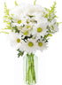 KaBloom - Bountiful Beauty Bouquet of Fresh White Daisies with Vase -