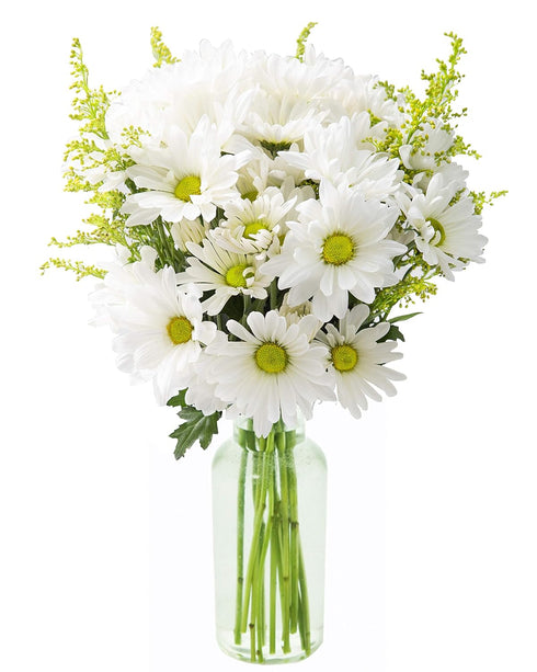 KaBloom Flowers - Bountiful Beauty Bouquet of Fresh White Daisies with Vase