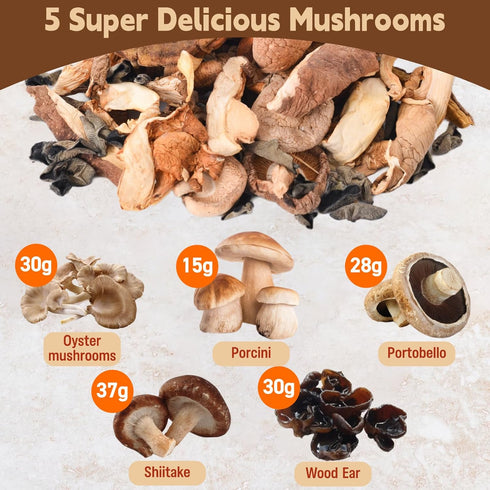 5 5oz(140g) kinds Dried Mixed Wild Mushrooms for Cooking, Dehydrated Mushrooms Including Porcini Shiitake Oyster